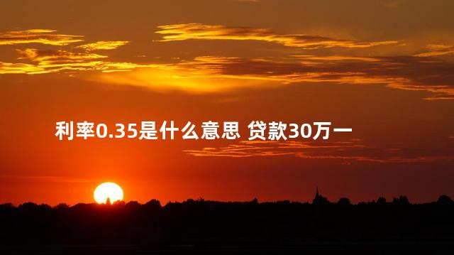 利率0.35是什么意思 贷款30万一个月还多少